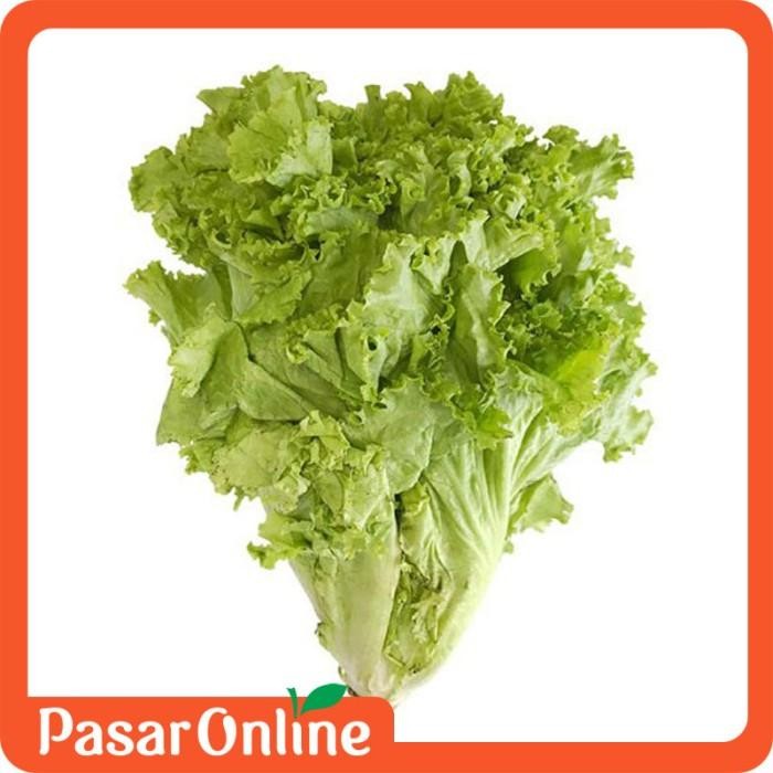 

LUXEHEALTH- Selada / Selada Leaf Lettuce / Sayur - 200 Gr