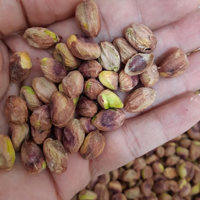 

Baru kacang pistachio kupas panggang 250gr