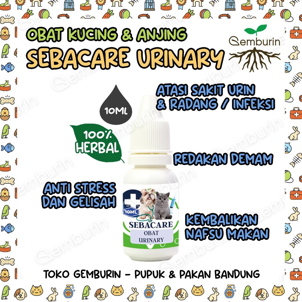 SEBACARE Obat Urinary Tetes 10ML / Obat Infeksi Kencing Berdarah Kucing Anjing Ampuh Rekomendasi
