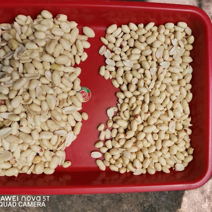 

Kacang Tanah Kupas Mentah 25/29 Berat 25kg