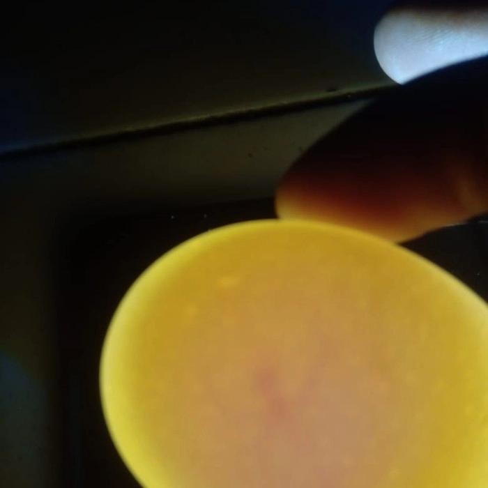 mesin tetas telur full otomatis kapasitas 50 butir