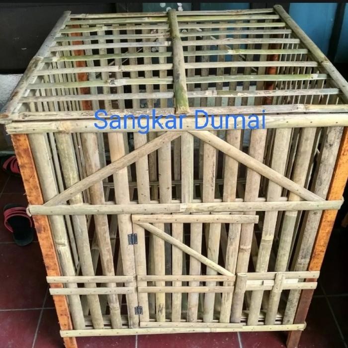 Kandang Ayam Bongkar Pasang