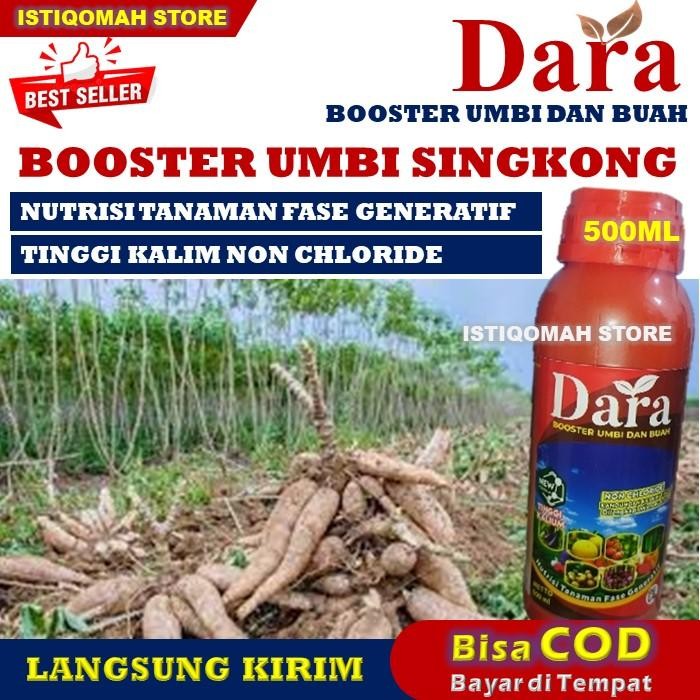 Pupuk Cair Umbi Singkong DARA 500ML Pupuk Booster Umbi Khusus Singkong, Pupuk Cair Booster untuk