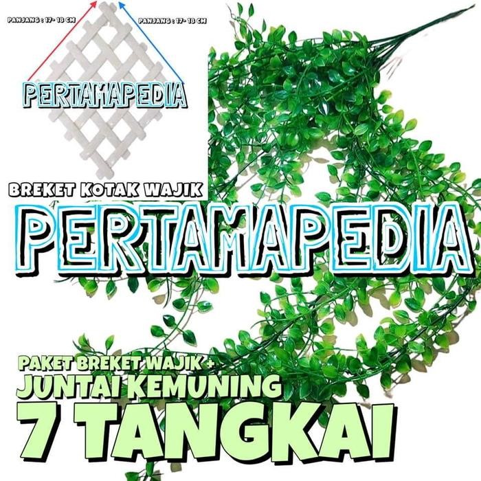 Pilihan- Paket Daun Plastik / Daun Palsu/ Daun Hias Sintetis / Daun Gantung