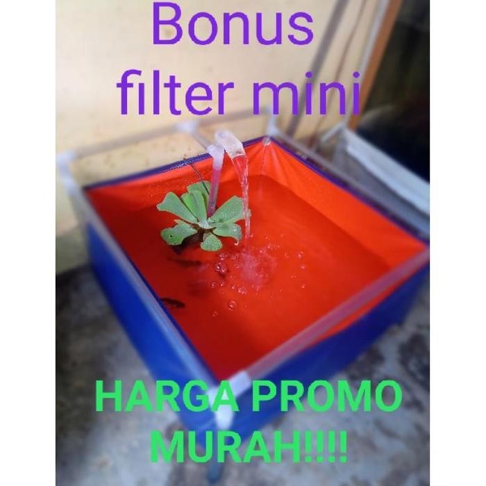 KOLAM MINI PORTABLE TERPAL,RANGKA,POMPA DAN BONUS FILTER KECIL