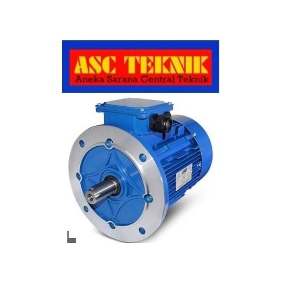 ELECTRIC MOTOR BOLOGNA 4P 0.5HP 0.37KW 380V 3Phase B5