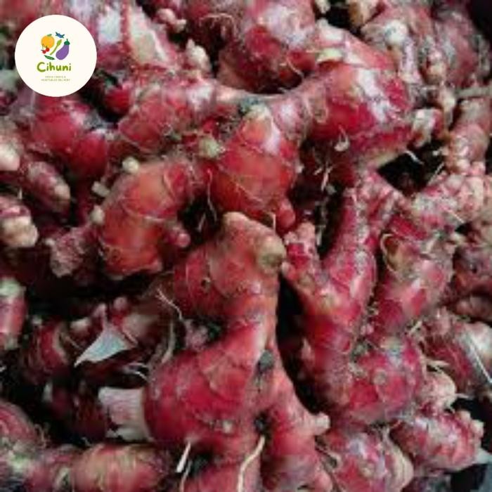 

jahe merah super asli murah 1kg Best Seller