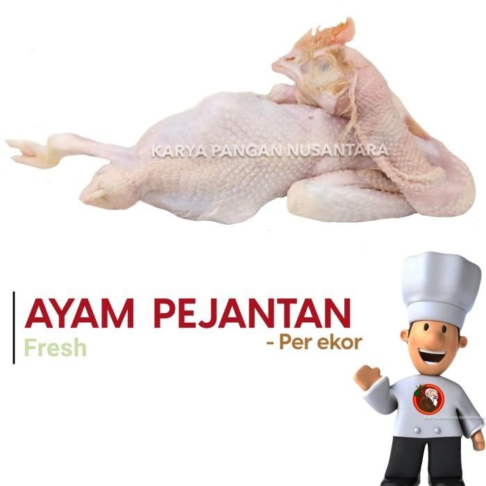 

(Expert) AYAM PEJANTAN UTUH AYAM KAMPUNG PEJANTAN AYAM UTUH PER EKOR