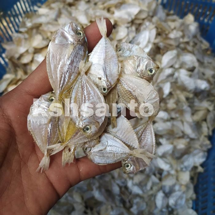 

Ikan Asin Petek Halus-1Kg