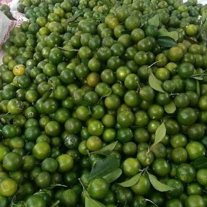 

New Jeruk sonkit 1kg/ Jeruk kasturi/ Lemon Cui/ Jeruk kunci