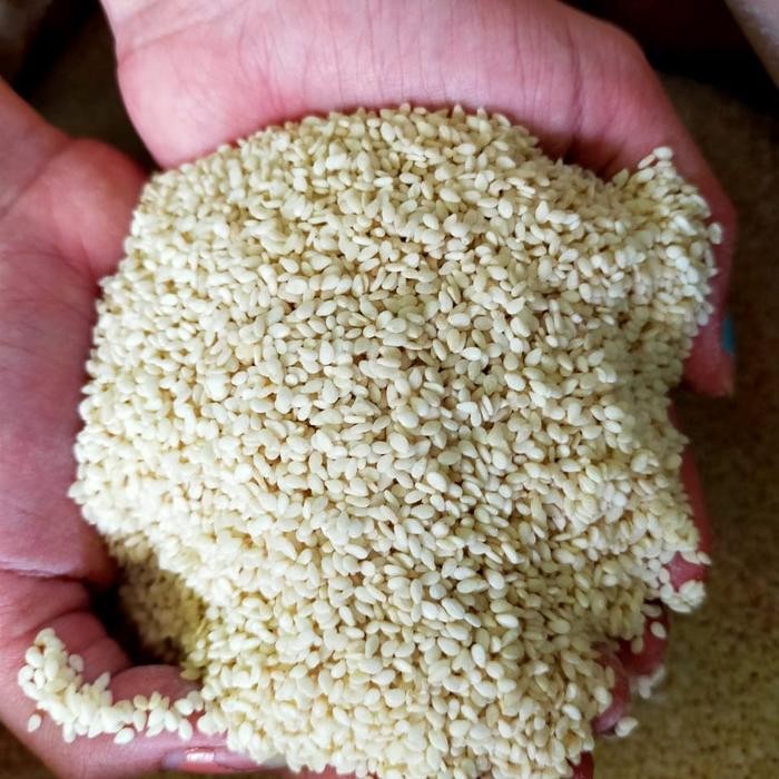 

New Wijen Putih Import 1KG 1Kilo Kualitas Terbaik