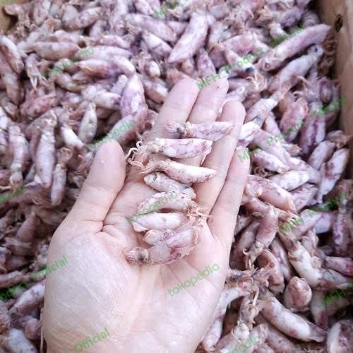

PREMIUM Cumi Kering Ikan Asin Cumi Murah 1 Kg