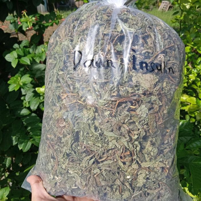 

PREMIUM Daun Insulin Kering Murni Untuk Diabetes