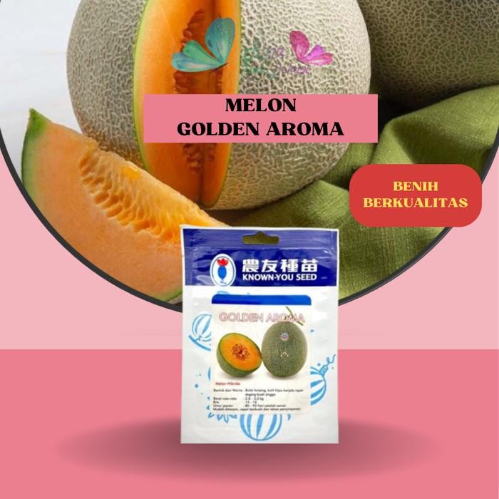 [Sp] Benih F1 Melon Golden Aroma - Repack 10 50 Biji Kys Ori Bibit Melon Rock Daging Orange