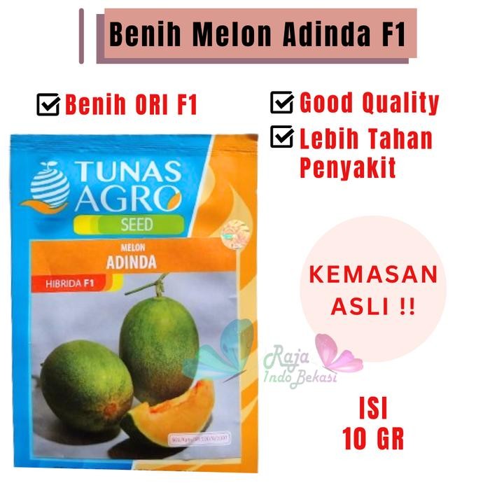 [Sp] Kemasan Asli Biji Benih Melon Adinda F1 Ori - Bibit Melon Hijau Daging Orange Premium