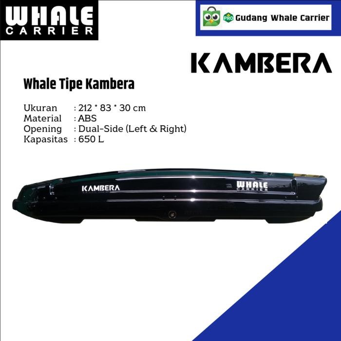 ROOF BOX WHALE CARRIER KAMBERA 650 L