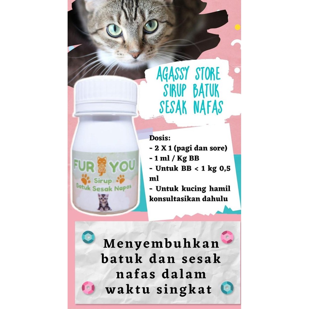 FURYOU OBAT BATUK SESAK NAFAS KUCING SIRUP BATUK SESAK NAFAS KUCING