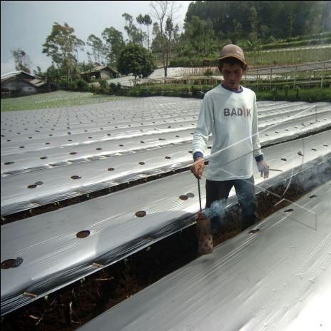 Gardening_Love Plastik Mulsa Plastik Hitam Perak 1 Rol Lebar 80 Cm Panjang 250 Meter