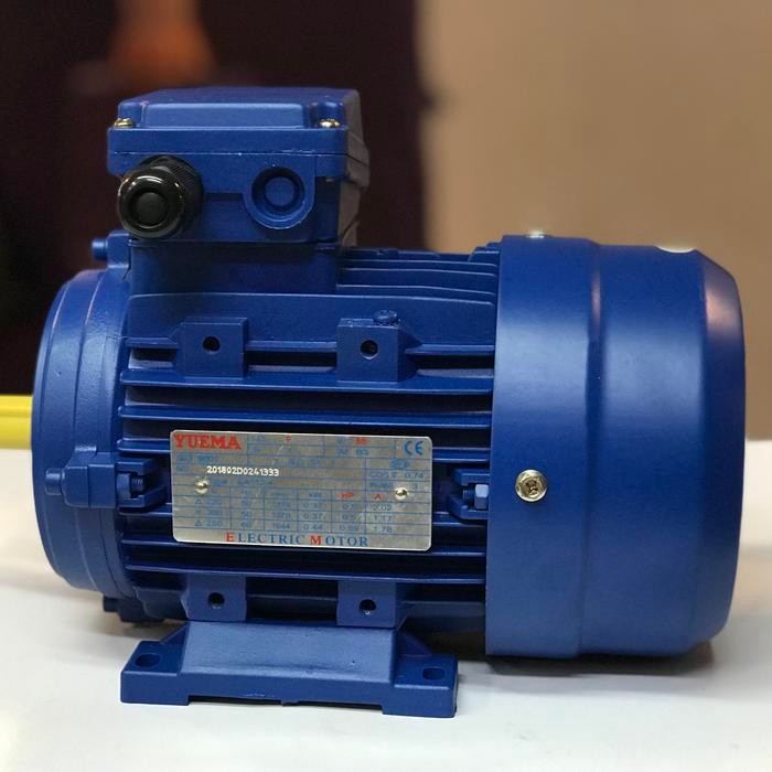 ELEKTROMOTOR YUEMA 0,5 HP 4 POLE 3PHASE HORIZONTAL