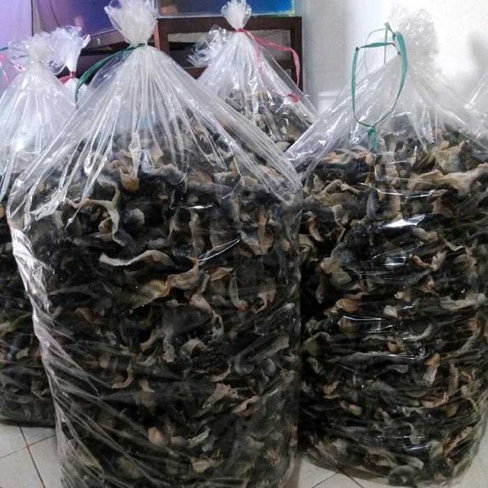 

KERIPIK KULIT IKAN PATIN 1/2 MATANG 500 GRAM. kulit ikan Food,makanan sehat, cemilan, kerupuk