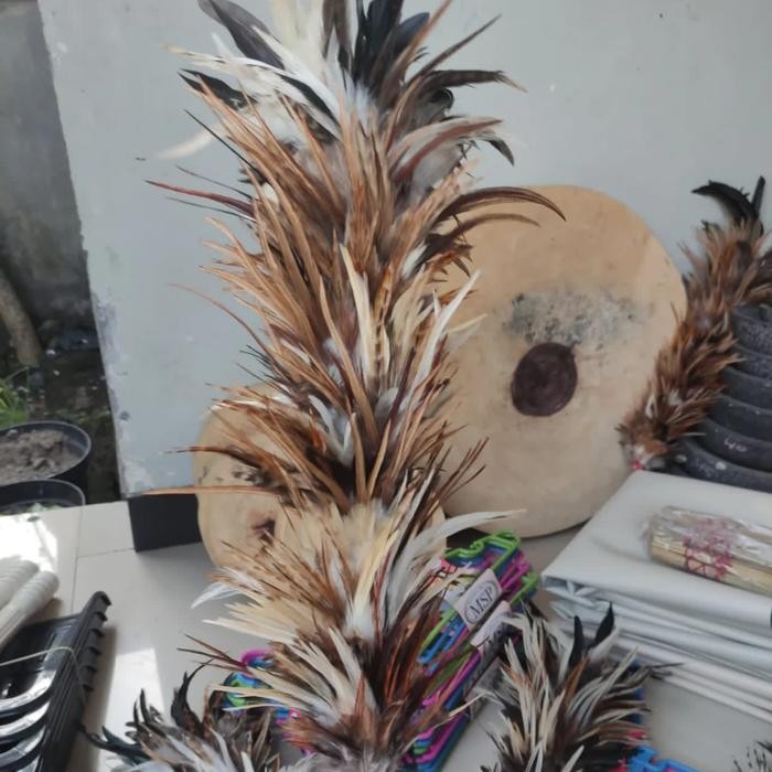 Kemoceng Sulak//Sapu Bulu Ayam