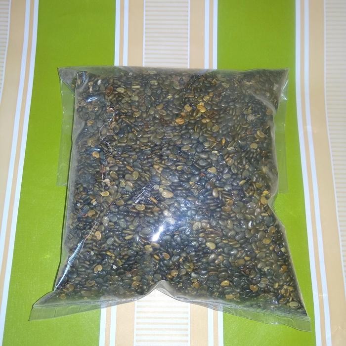 Terlaris Benih Orok-Orok (Crotalaria Juncea)