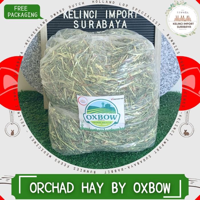 

ASLI Orchad Hay Oxbow 1kg - Rumput Hay - Makanan Kelinci READY STOCK