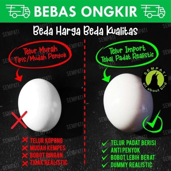 TELUR PALSU MAINAN BURUNG MERPATI