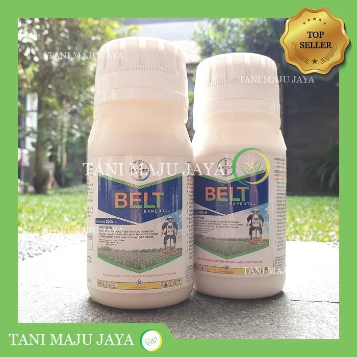 Insektisida Belt expert 480SC 250 ml