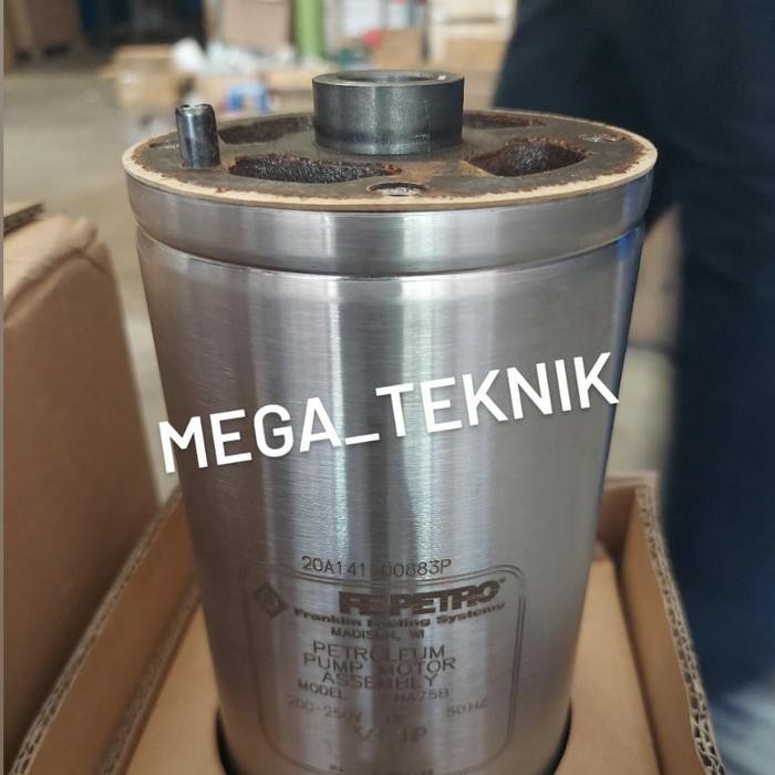 STP FRANKLIN FE PETRO SUBMERSIBLE PUMP SET LENGKAP PACMAN 3/4HP(0.75HP