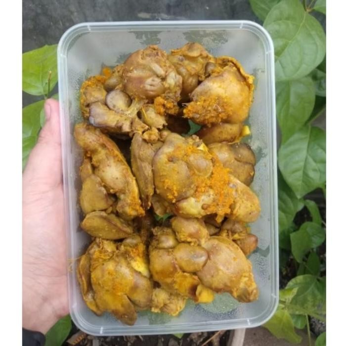 

ATI AMPELA UNGKEP 500GR BUMBU KUNING HATI AMPELA AYAM SIAP MASAK SIAP GORENG