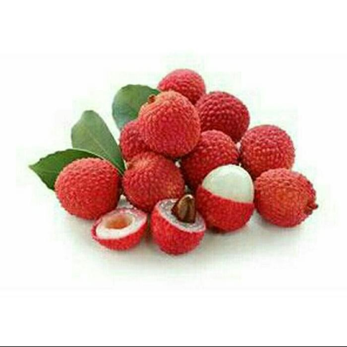 Bibit Buah Leci / Lychee Kom / Merah Super Unggul