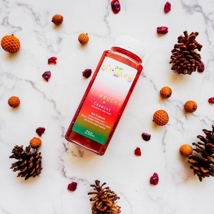 (Allthebest) BUCHA.CO Kombucha Cranchi