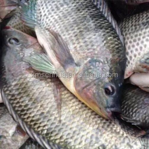 (Allthebest) ikan asin mujair 1 kg