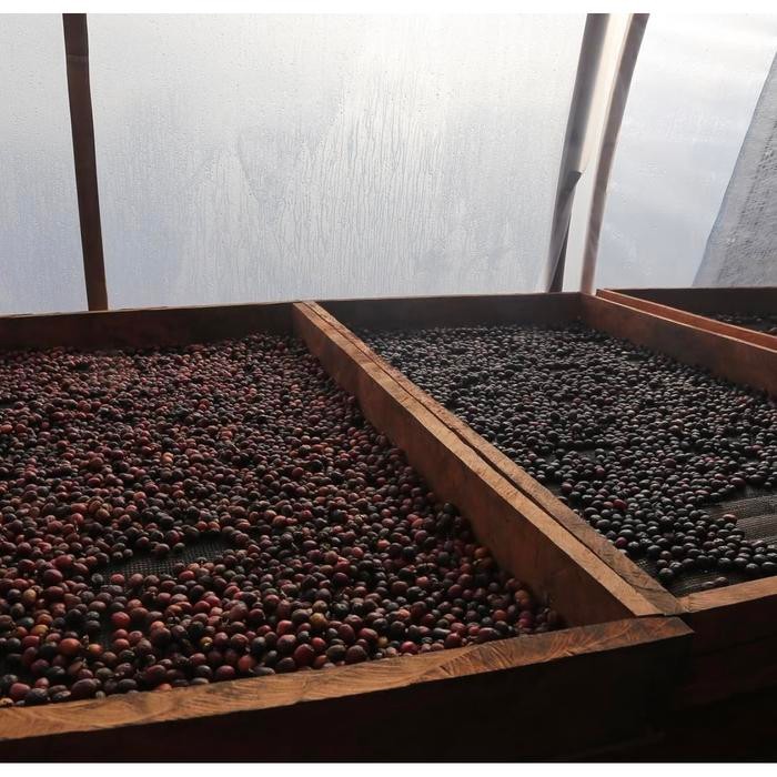 

INDONESIA - FINCA ALI 'J LOT'
