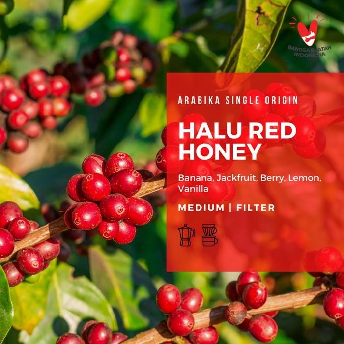 

ARABIKA GUNUNG HALU 100 GR SMALL PACK