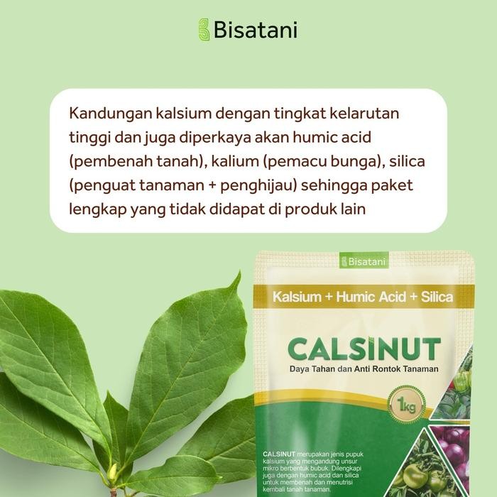 Bisatani - Pupuk Kalsium (',') Plus Silika Calsinut Mencegah