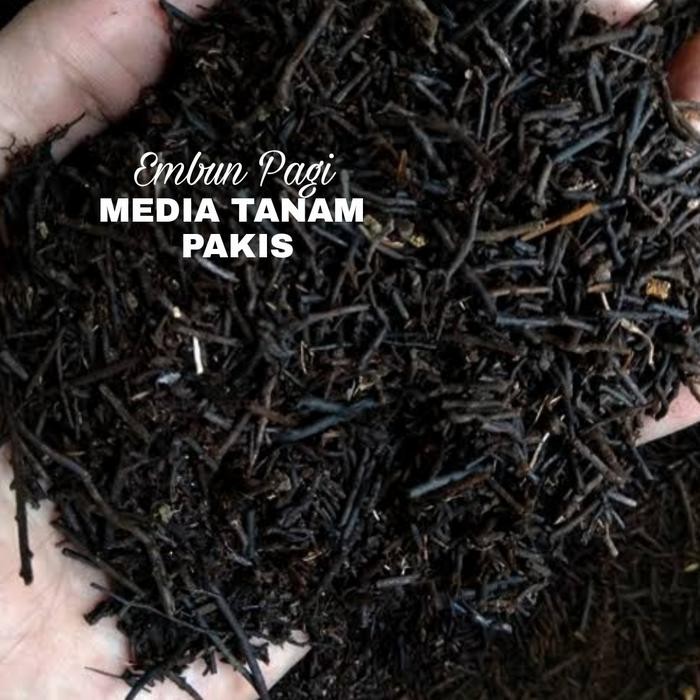 Akar Pakis Cacah Media Tanam Anggrek dan Aglonema Siap Tanam *