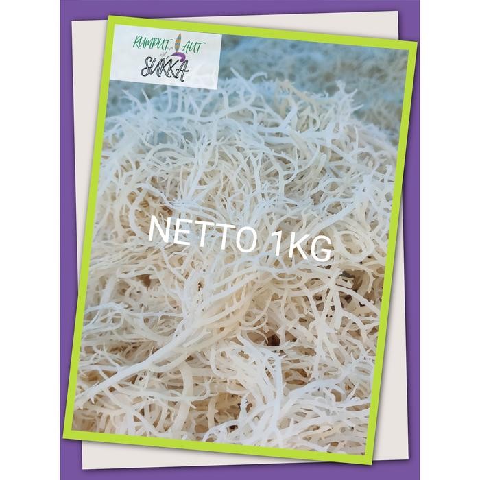 

New RUMPUT LAUT KERING 1KG PUTIH BERSIH SEGAR GROSIR