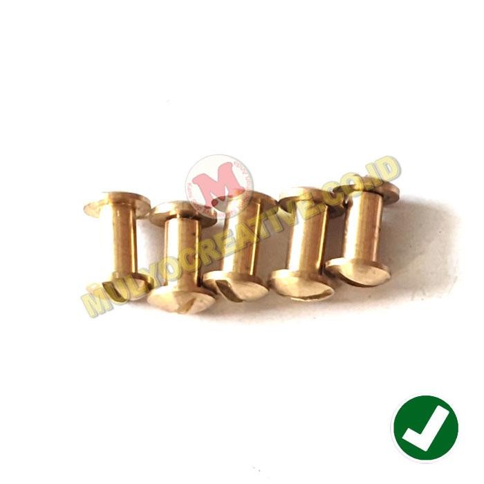 

Mur Baut Sabuk Kulit Ukuran 10mm Paku Baut Jilid 1 Cm - Gold PREMIUM
