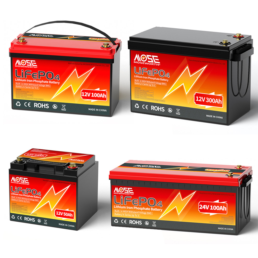 Vareraaa US Stock LiFePO4 Battery 12V 50Ah 100Ah 300Ah 24V 100Ah Built-in BMS Portable Power Bank Re
