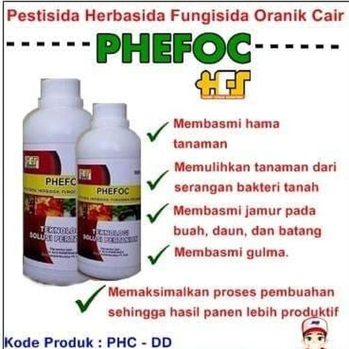 

Phefoc HCS Pupuk Organik Untuk Mengatasi Hama Tanaman