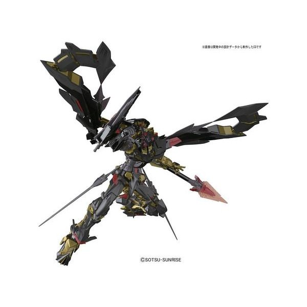 Rg 1/144 Gundam Astray Gold Frame Amatsu Mina