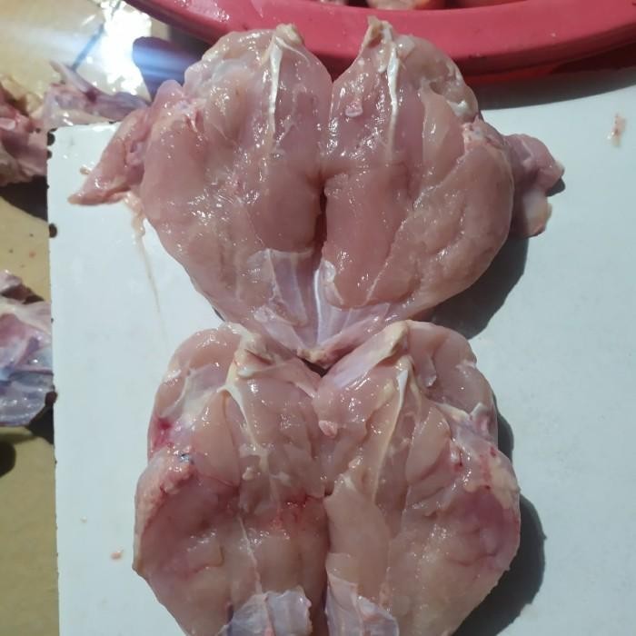 

(Expert) fillet dada ayam murah