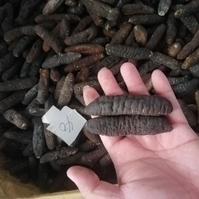 

teripang belitung/haisom belitung size 40-50ekor