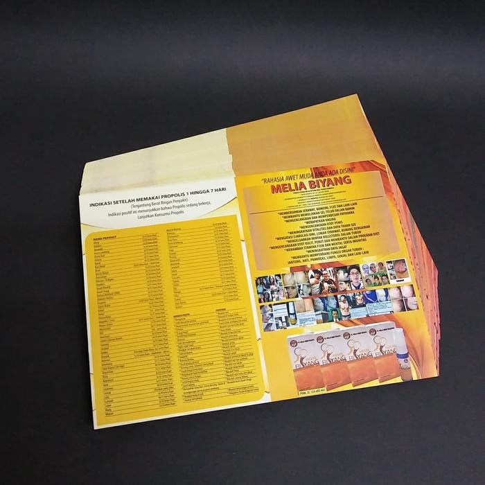 

Cetak Brosur A4 2 Muka Full Color utk 2 rim