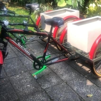 Sepeda Roda Tiga Dewasa Kargo