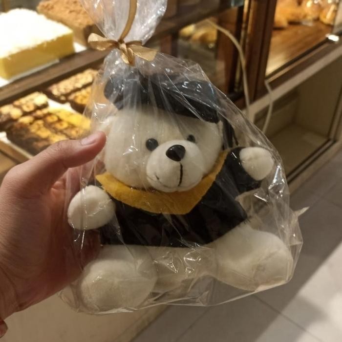 

Boneka Wisuda / Graduation Teddy Bear / Kado Wisuda / Gift