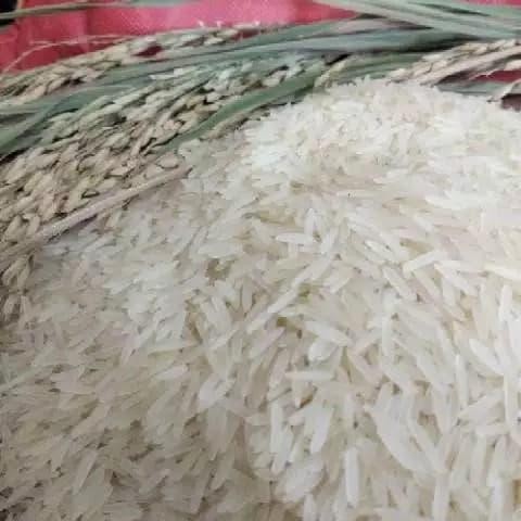 

Glx beras basmati punjab asli 1 kg