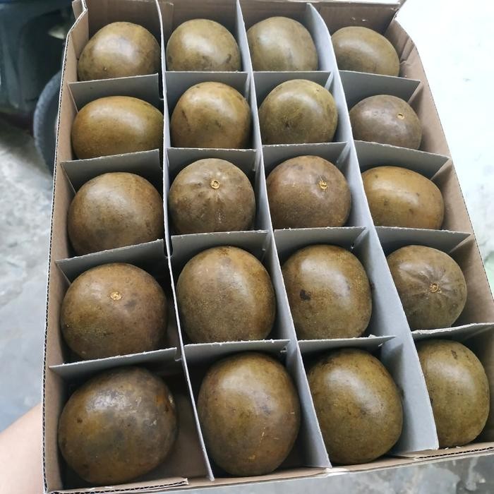 

Glx BUAH LO HAN KUO PREMIUM BOX ISI 20PC SIZE MIX PANAS DALAM DETOX